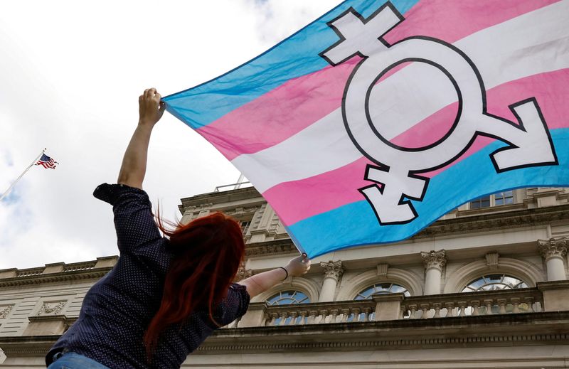 Factbox-New U.S. state laws directed at transgender youth