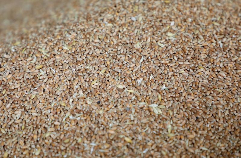IMF, World Bank, WFP and WTO urge coordinated action on food security