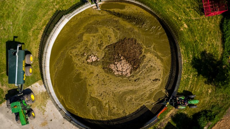 In the U.S., manure is 'hot commodity' amid commercial fertilizer shortage