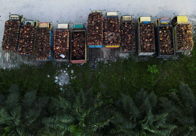 Indonesia export ban traps 290,000 T of palm oil shipments for India  -trade