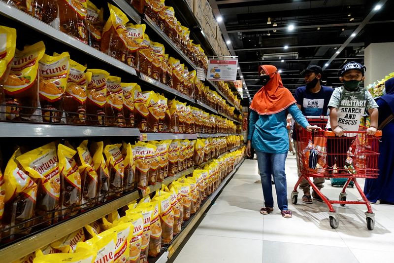 Indonesia widens export ban to include CPO, refined palm oil