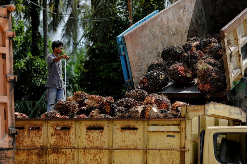 Indonesia's palm oil export ban seen short-lived on limited storage