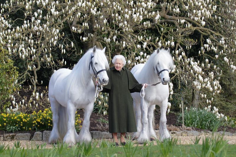 Queen Elizabeth's 96th birthday marked with gun salute and new photograph