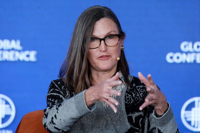 ARK's Wood sees global recession, blames market selloff on Fed hike plan