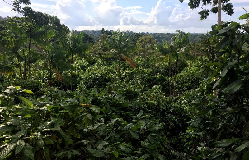 AXA, Unilever to join new 1 billion euro regenerative agriculture fund