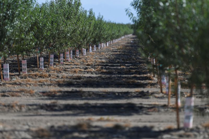 Billionaire Styers backs climate tech firm Regrow Ag