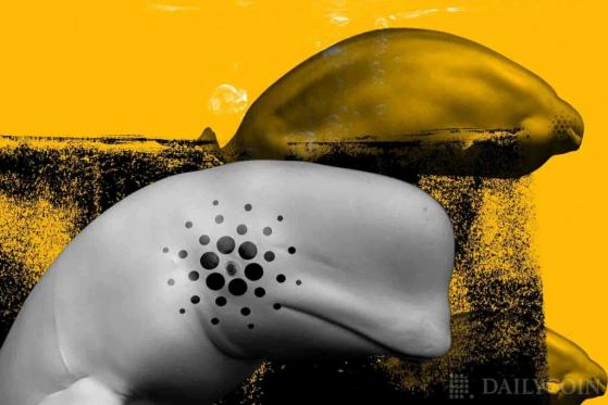 Crypto Flipsider News – BTC Falls Further, Algorand Partners with FIFA and Gains 25%; ADA and ETH See Whale Action; Dfinity Sues Meta; Dogecoin to Defeat Twitter Spam Bots; Square Enix Sells Tomb Raider for $300 Million