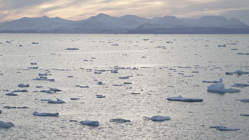Earthquake hits north of Norway's Svalbard, no reports of damage
