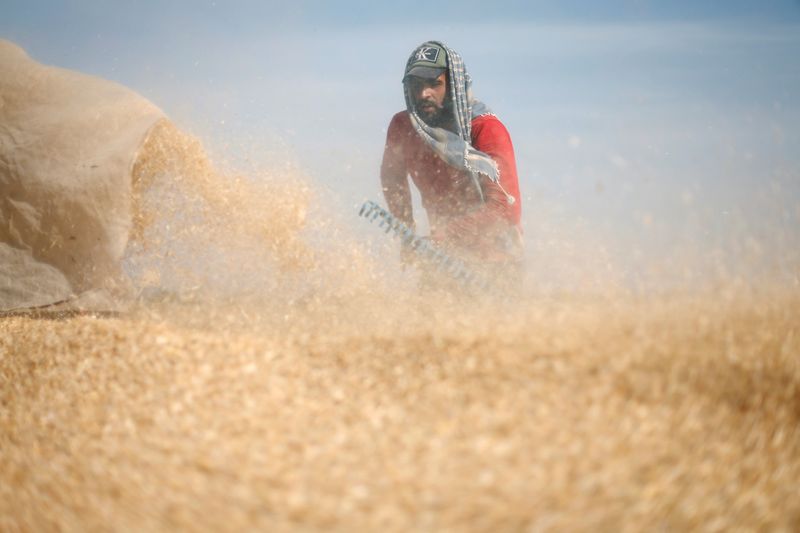 Gaza flour mills ground down by Russian-Ukraine conflict