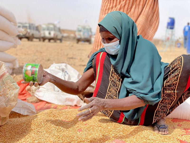 Germany to earmark 430 million euros for fighting world hunger