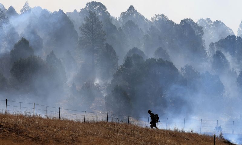 'Our mountains are gone': Grief as sacred New Mexico forests burn