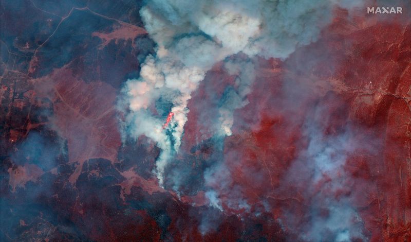Huge New Mexico wildfire forces hundreds of households to flee