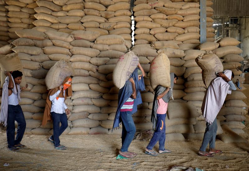 India to allow wheat shipments awaiting customs clearance - govt