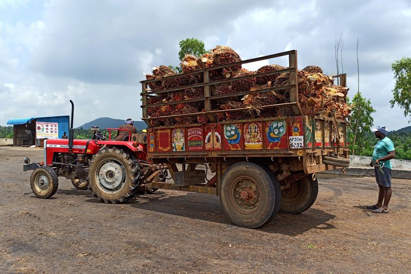 India's palm oil imports could hit 11-yr low as soyoil rises