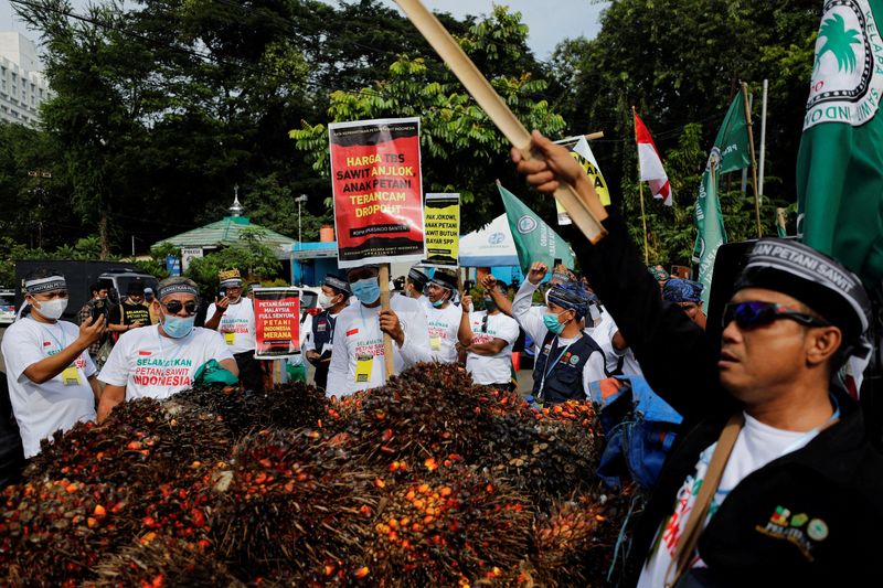 Indonesia ministry to hold briefing on lifting of palm oil export ban
