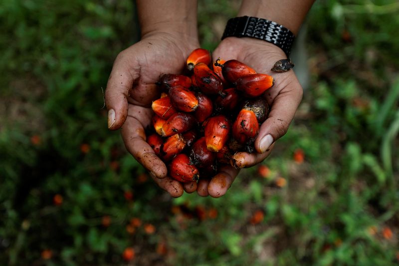 Indonesia's flip-flops give Malaysia edge in top palm oil market India
