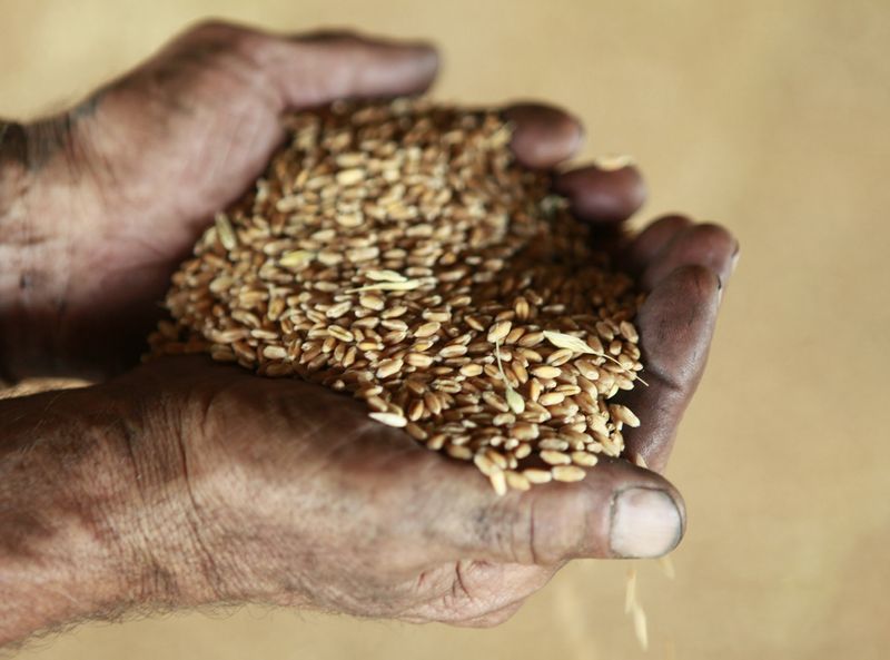 Kremlin says West triggered a global food crisis with sanctions