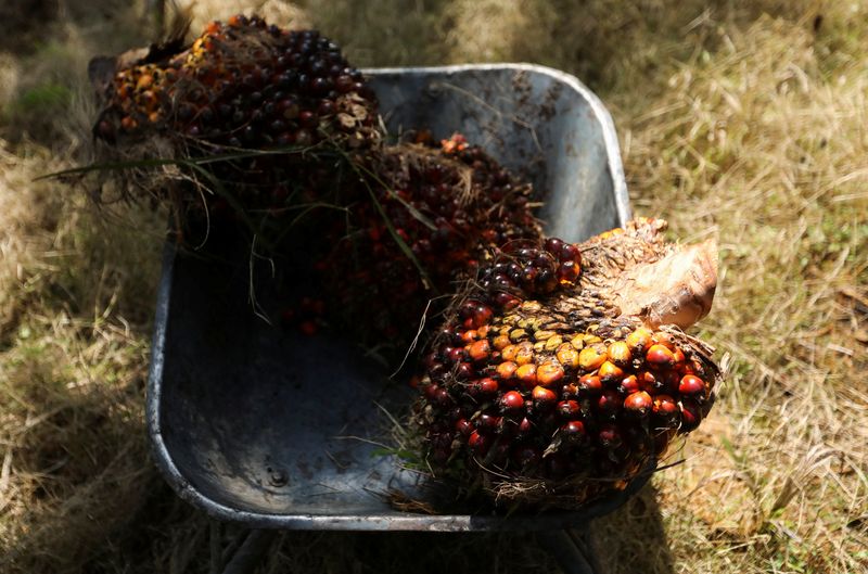 Malaysia aims to regain palm oil market share in EU amid global shortage