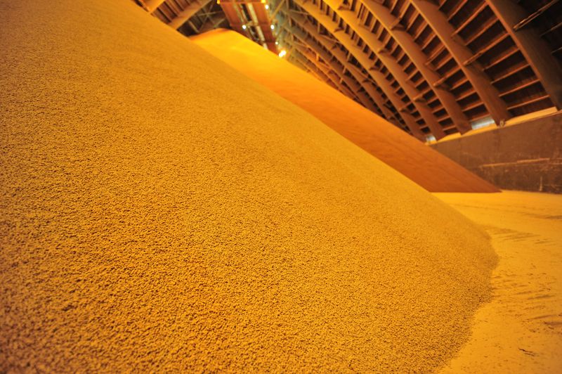 Nutrien bolsters profit forecast on surging fertilizer prices