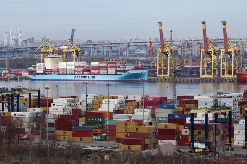 Russia publishes list of 'parallel imports' goods