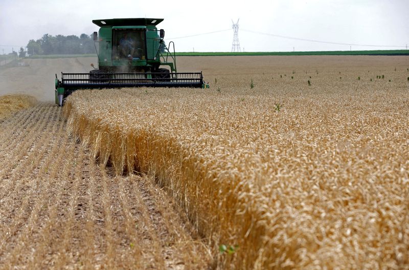 U.S. Black farmers lost $326 billion worth of land in 20th century - study