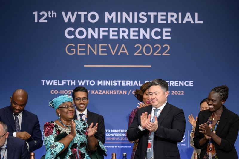 Factbox - What has the WTO ministerial conference achieved?