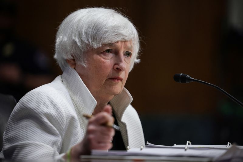Yellen says gun violence has impact on economy, survivors