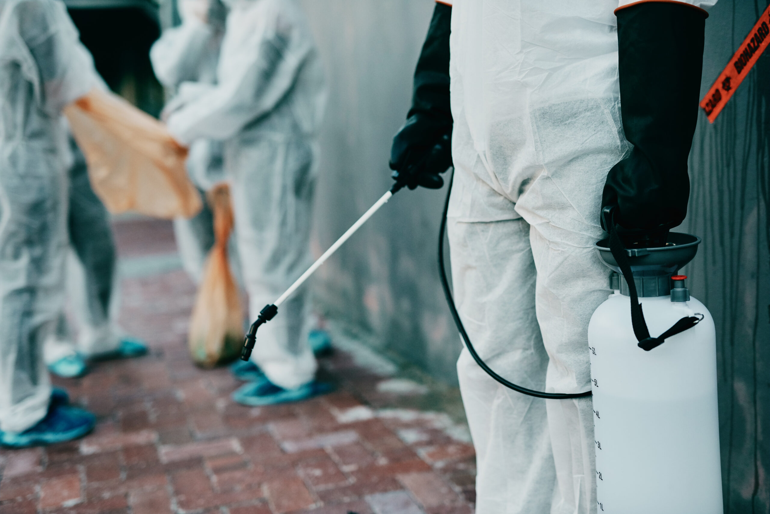 What to Expect During Your First Pest Control Visit