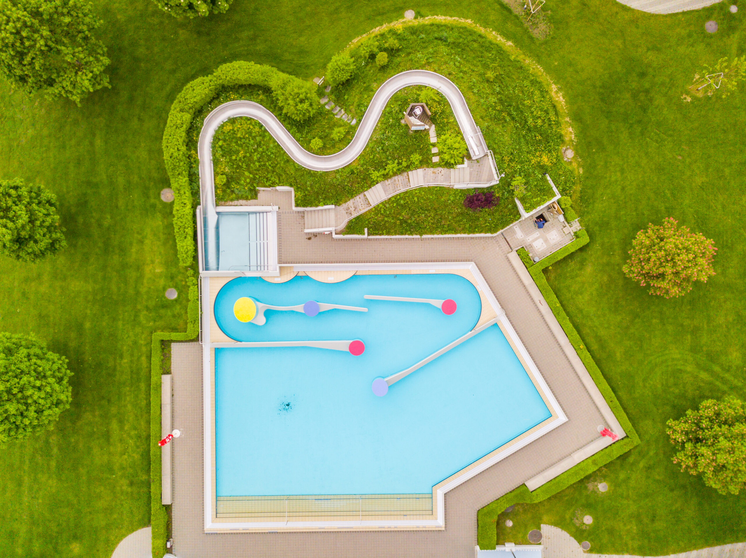 Best Pool Shapes for Swimming, Lounging, and Entertaining