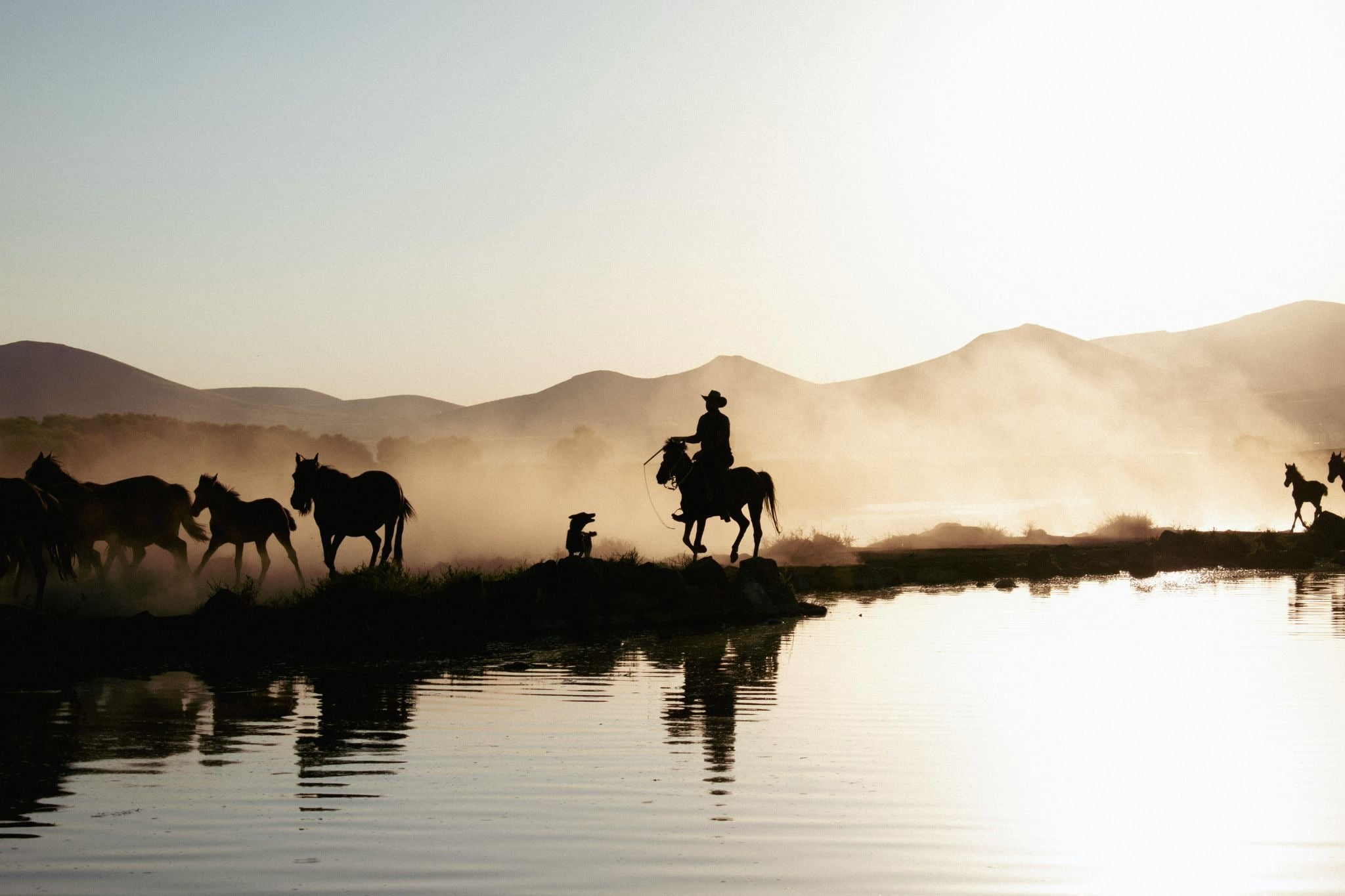 Why Data is the New Lifeblood of the Modern Ranch