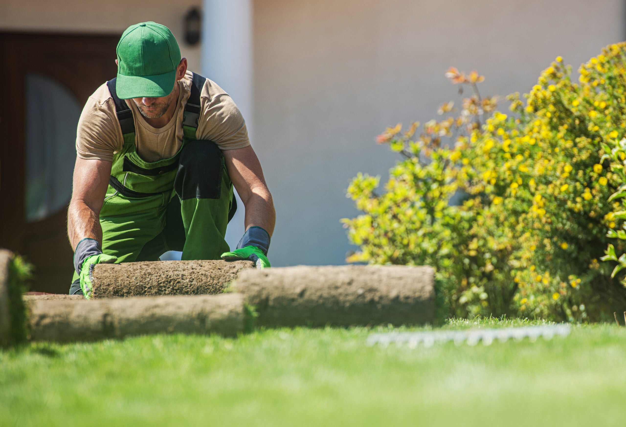 How to Choose the Right Trees and Shrubs for Your Ohio Landscape
